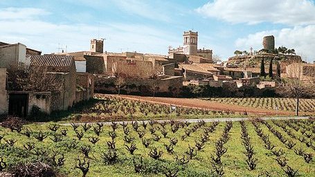 Èxit rotund del projecte pilot de protecció de l’oreneta cuablanca a Banyeres