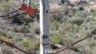 Una avaria en una línia elèctrica, principal hipòtesi dels Agents Rurals sobre l’origen de l’incendi de Calafell