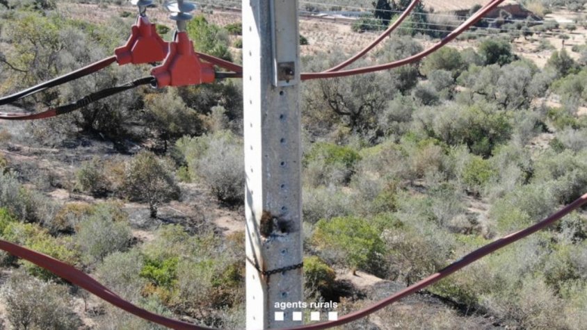 Una avaria en una línia elèctrica, principal hipòtesi dels Agents Rurals sobre l’origen de l’incendi de Calafell