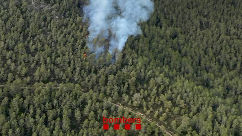 17 dotacions dels Bombers, 4 d'aèries, treballen en un incendi de vegetació boscosa al Montmell