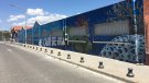 L’institut Camí de Mar de Calafell estrenarà el curs vinent un cicle formatiu de farmàcia