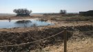 S’inaugura la passarel·la, el camí i l’adequació ambiental de les Madrigueres