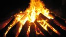 Fins al 15 d’octubre està prohibit fer foc al bosc i en una franja de 500 metres al voltant