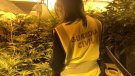 La Guàrdia Civil desmantella una plantació de marihuana a la Bisbal del Penedès