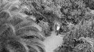 Distopia-Utopia: el jardí de la Fundació Fenosa al Vendrell com a exemple de sostenibilitat i resiliència