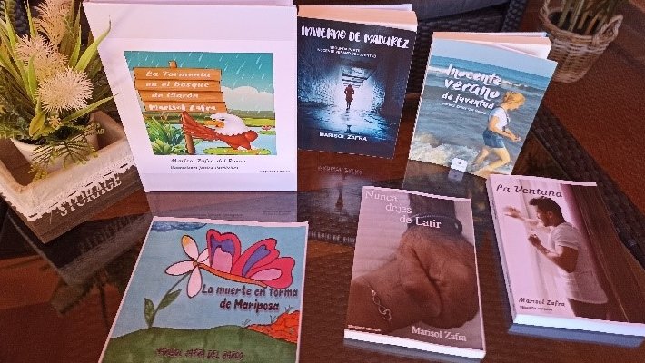 Presentació solidària de llibres de Marisol Zafra al Museu Deu