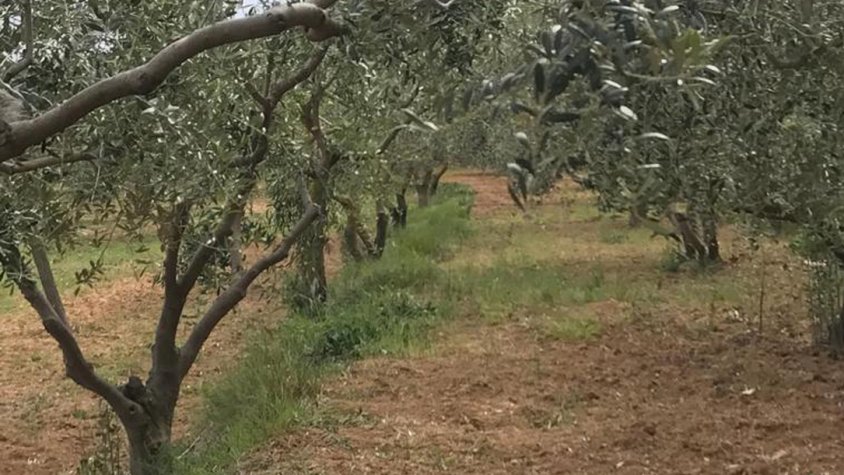 Cunit participa en el projecte artístic ‘Enyorança, Catalunya Avui’