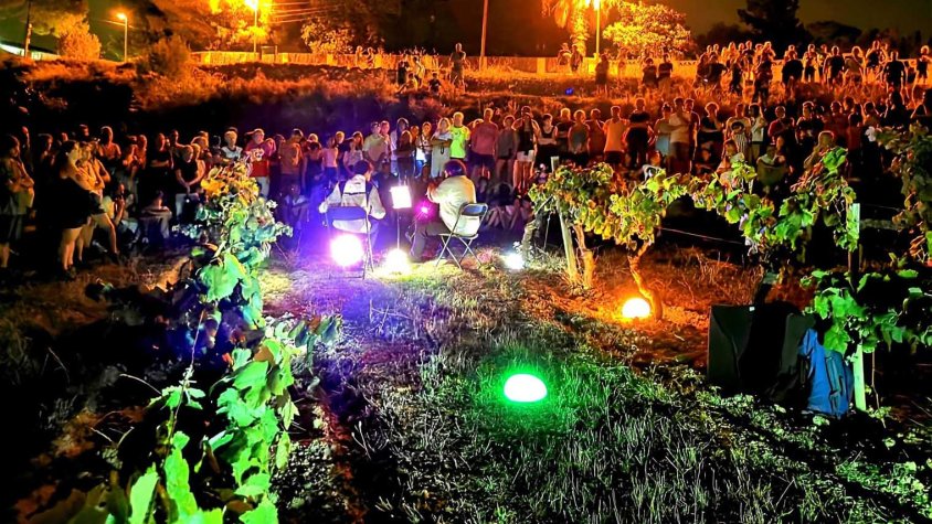 La Música a les Vinyes serà present a la Festa Major de Santa Oliva.
