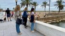Les platges del Vendrell passen la inspecció per recuperar la Bandera Blava
