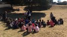 El nou parc de Mas Mel de Calafell serà el més gran del municipi i tindrà 11.000 exemplars d’arbres, arbusts i plantes