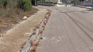 Som Poble, el GEVEN, el grup de consum Les Garrofes i Som lo que sembrem demanen l’aturada immediata de l’aplicació de glifosat al Vendrell