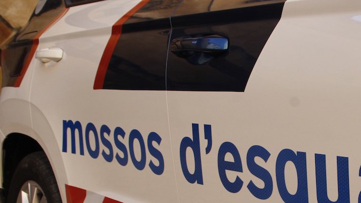 L'objectiu és desarticular una banda criminal dedicada a les estafes