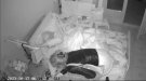 Detinguda una dona per vuit furts, un robatori violent, dues estafes i dos robatoris amb força en domicilis de persones grans al Baix Penedès