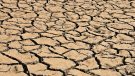 Baix Penedès, Tarragonès i Pla d'Urgell entre l'1% de territoris de la UE en alerta per sequera