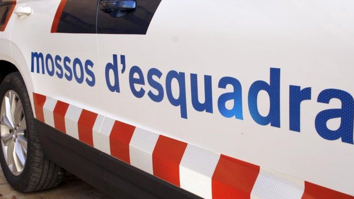 Mossos d'Esquadra van detenir entre dissabte i diumenge dos menors i set homes, d’entre 18 i 32 anys, com a presumptes autors de robatori amb força i un furt. 