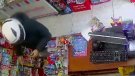 Els Mossos d’Esquadra detenen un home per un robatori amb intimidació al Baix Penedès