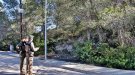 Els Agents Rurals alerten de la importància de tenir franges perimetrals de bosc netes per prevenir l'avanç d'incendis
