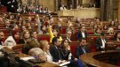 Eleccions anticipades