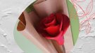 Roses de ceràmica solidàries destinades a recaptar diners per al projecte Fem pinya! de beques de menjador escolar