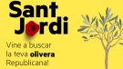 Esquerra Republicana del Vendrell regala oliveres a la Diada de Sant Jordi