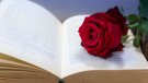Diada de Sant Jordi a la Biblioteca Pública Terra Baixa del Vendrell