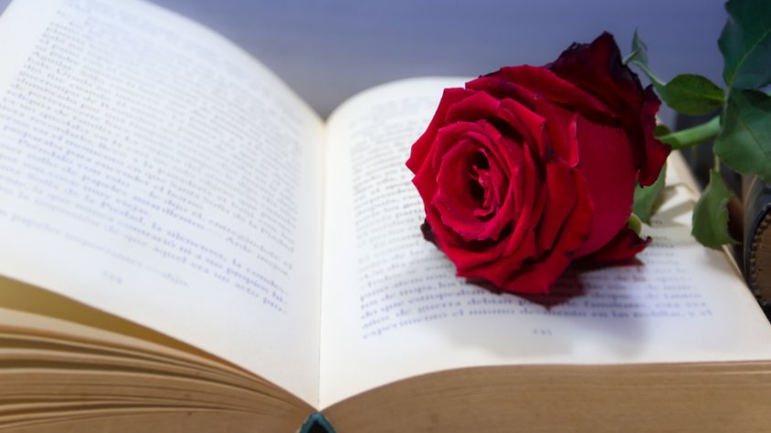 Diada de Sant Jordi a la Biblioteca Pública Terra Baixa del Vendrell