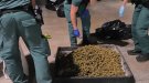 La Guàrdia Civil intercepta un vehicle que transportava 22 kg de marihuana en bosses de plàstic i diversos assecadors per a cabdells