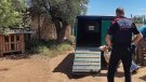 Els Mossos d’Esquadra detenen dos homes a Perafort pel robatori de xais a Santa Oliva