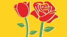 Tots els actes culturals i tradicionals de Sant Jordi a Cunit