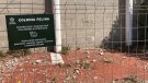 Som Poble - ERC exigeix al govern municipal del Vendrell que compleixi les seves obligacions legals sobre la gestió de les colònies de gats