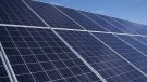 Se sotmet a informació pública una planta de 3.300 panells fotovoltaics a Bellvei i aproven una planta de 2.800 a Querol