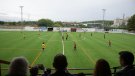 Inauguració de la nova gespa del camp de futbol Josep Bové del Club d'Esports Vendrell