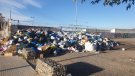 Els ajuntaments anuncien que volen declarar l'emergència sanitària per poder realitzar la neteja i recuperar la salubritat dels municipis