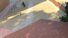 L'Ajuntament de l'Arboç retira els sostres d'amiant de l'Escola Sant Julià.