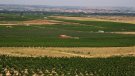 El Departament d’Agricultura abona 13 M€ dels ajuts a les comunitats de regants afectades per la sequera de l’any 2023