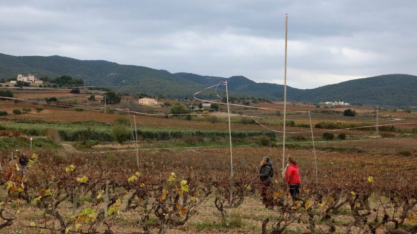 El govern espanyol publica al BOE la resolució que tomba la MAT entre Valmuel i Begues que afectava al Baix Penedès