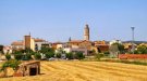 Les entitats ecologistes reclamen la nul·litat de ple dret de la requalificació del paratge dels Masos de la Bisbal del Penedès