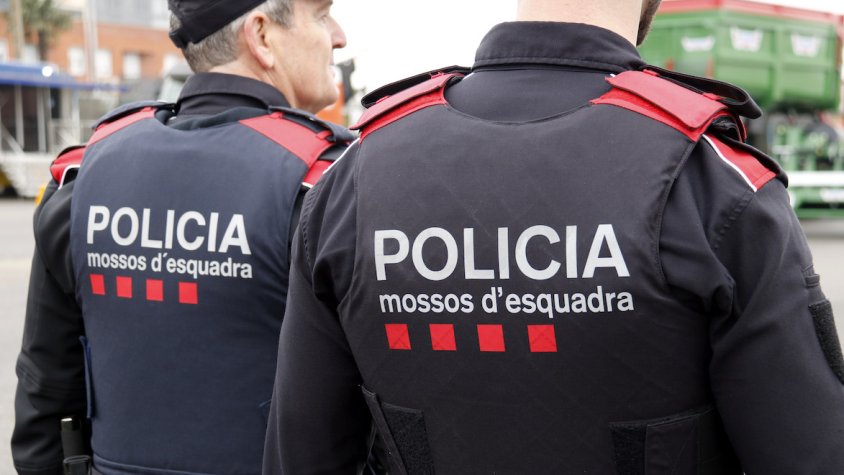 Operatiu policial al Camp de Tarragona contra el tràfic de marihuana