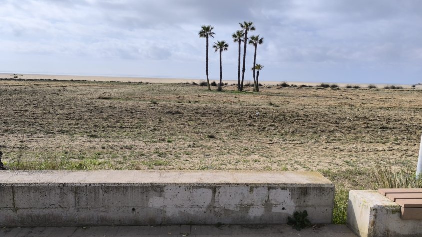 La platja de Coma-ruga comptarà amb un espai de convivència amb gossos