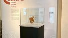 La màscara funerària púnica de Mas d’en Gual al Museu Deu del Vendrell