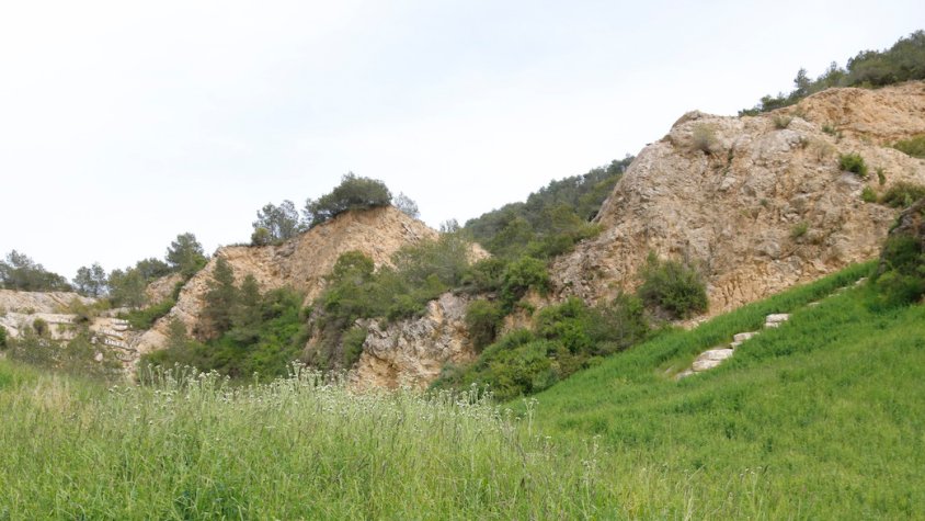 Restauren ambientalment una antiga pedrera ubicada dins l’espai natural del Montmell - Marmellar