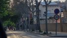 L’Ajuntament de l’Arboç fa una denúncia pública per la mort per enverinament de set plataners de grans dimensions al carrer de Santa Llúcia