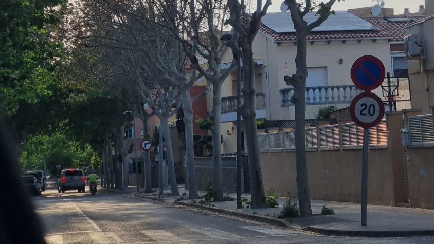 L’Ajuntament de l’Arboç fa una denúncia pública per la mort per enverinament de set plataners de grans dimensions al carrer de Santa Llúcia