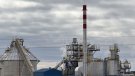 El sector de la bioenergia a Catalunya agrupa 365 empreses que facturen 872 milions d'euros