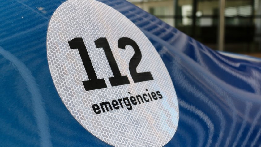 Detenen vint membres d'una banda criminal dedicada al cultiu i distribució a l'engròs de marihuana a Catalunya