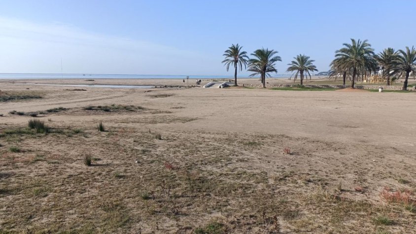 Tarda festiva per a gossos a la nova platja del Vendrell