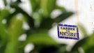 Major, Església i Catalunya, els noms de carrer més comuns del nomenclàtor català