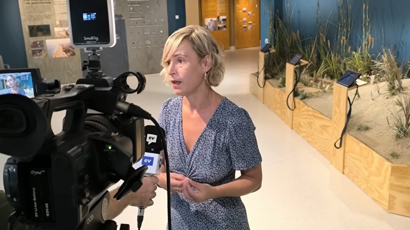 Jornada participativa adreçada a les famílies per redefinir el “Planet Family”, l’espai lúdic i educatiu de les platges