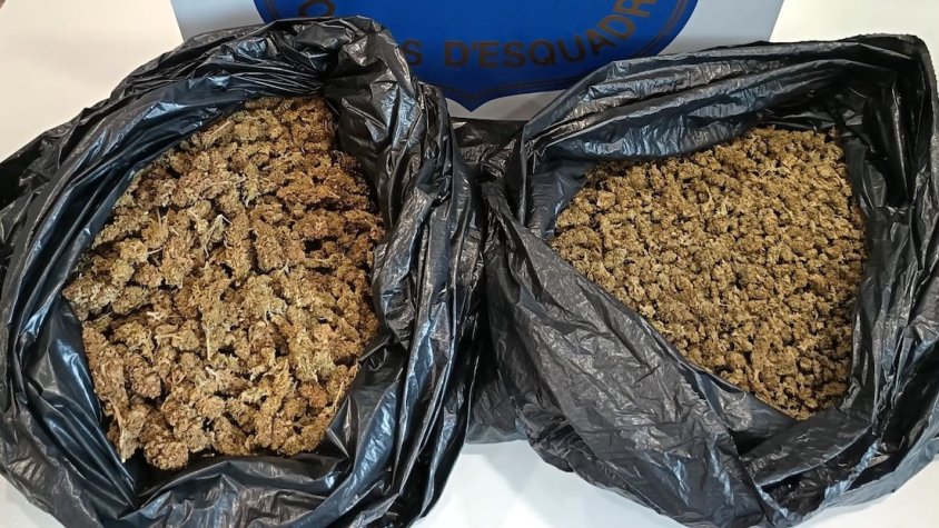 Detinguts tres homes com a presumptes autors d'un delicte de tràfic de drogues al Baix Penedès