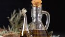 La Bisbal del Penedès celebra la Jornada de l’Oli en el marc de Catalunya, Regió Mundial de la Gastronomia 2025